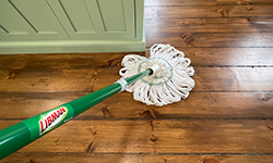 Mop cleaning wood floor indoors